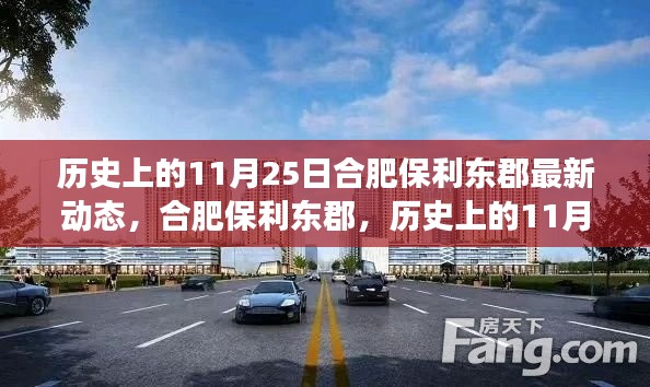 合肥保利東郡,歷史上的11月25日最新動態解讀