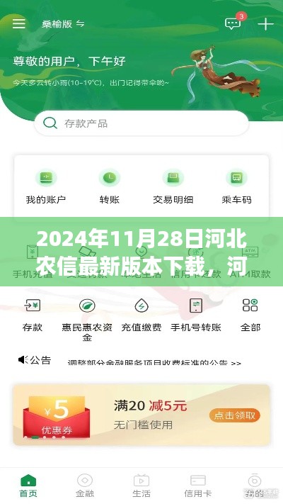 河北農信最新版本下載解析,特性、體驗、對比與用戶需求洞察(2024年11月28日評測)