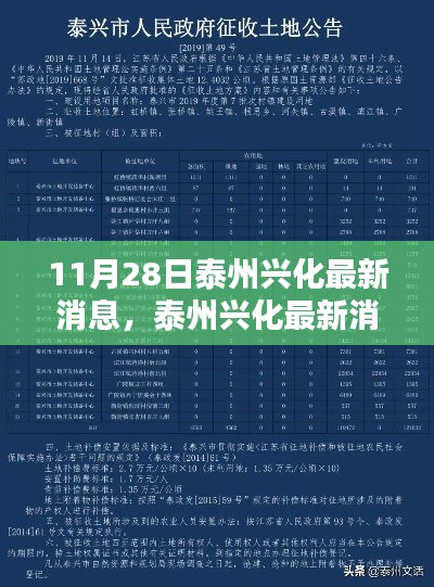 泰州興化最新消息匯總,聚焦要點解析(11月28日更新版)