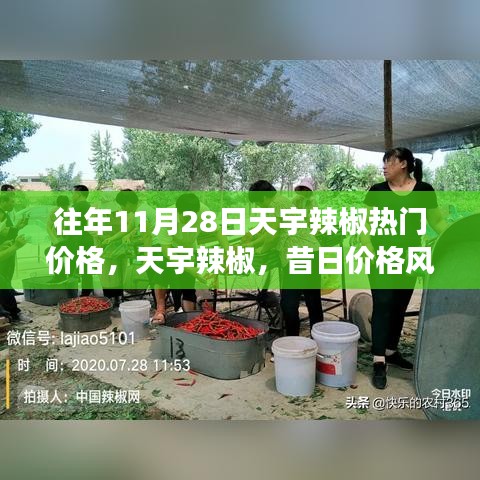 天宇辣椒熱門價格揭秘,昔日價格風云回顧與影響分析