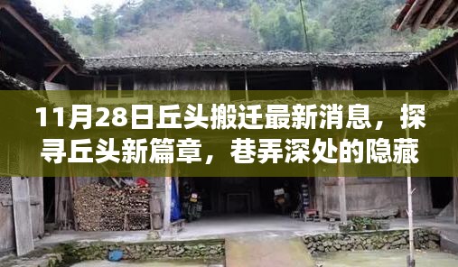 探尋丘頭新篇章,特色小店搬遷最新消息揭秘(11月28日)