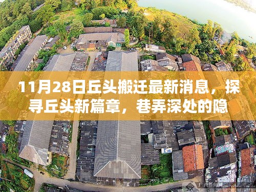 探尋丘頭新篇章,特色小店搬遷最新消息揭秘(11月28日)