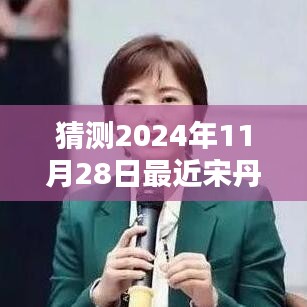 宋丹丹新劇預測指南,揭秘2024年11月28日最新電視劇猜測與期待!