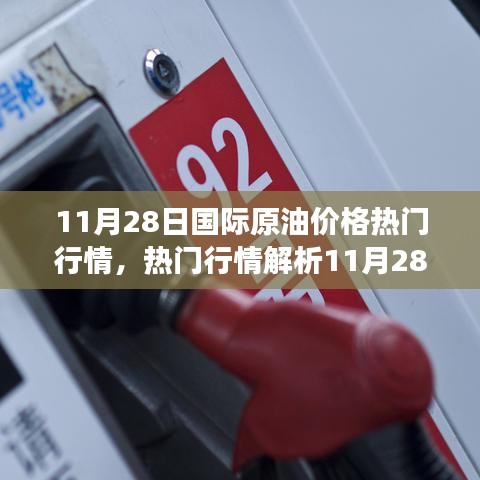 11月28日國際原油熱門行情解析,洞悉市場波動與應對策略