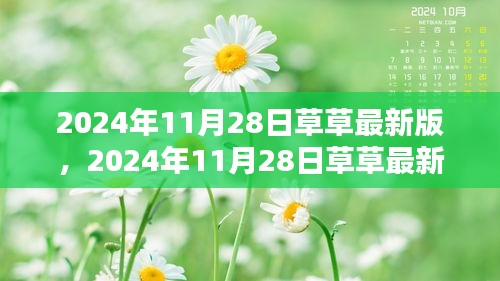2024年11月28日草草最新版產品評測與詳細介紹