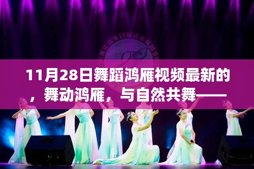 舞動鴻雁,與自然共舞的心靈之旅(最新11月28日舞蹈鴻雁視頻)