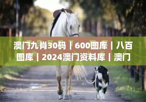 澳門九肖30碼|600圖庫|八百圖庫|2024澳門資料庫|澳門今晚必中一肖一碼|永久免,科學分析嚴謹解釋_極致版QIU13.67