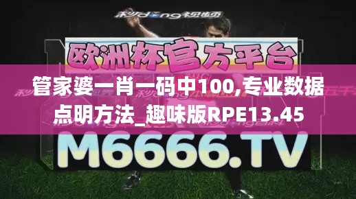 管家婆一肖一碼中100,專業數據點明方法_趣味版RPE13.45