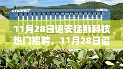 詔安猛獅科技最新招聘風向揭秘,熱門職位搶鮮看