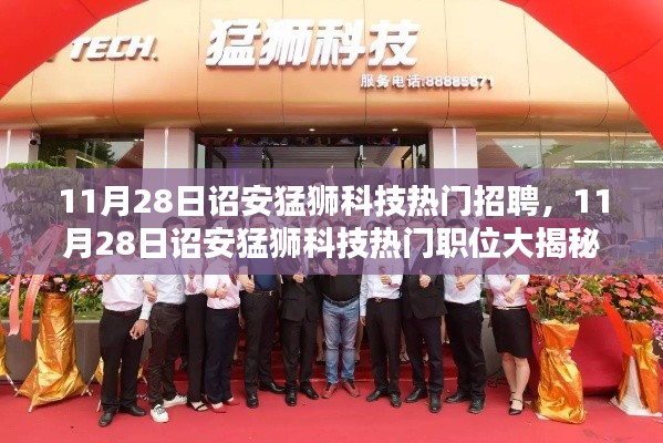 詔安猛獅科技最新招聘風向揭秘,熱門職位搶鮮看