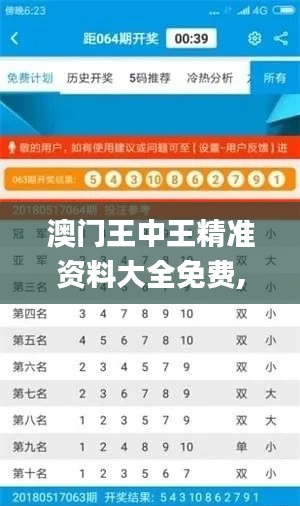 澳門王中王精準(zhǔn)資料大全免費(fèi),實(shí)用性解讀策略_娛樂版FBT13.1