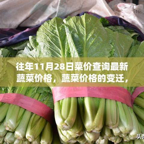 尋找自信與成就感的種子,蔬菜價格的變遷與歷年11月28日最新菜價查詢