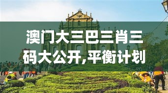 澳門大三巴三肖三碼大公開,平衡計劃息法策略_趣味版SAG13.92