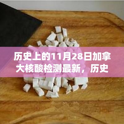 歷史上的11月28日加拿大核酸檢測最新進展全面解析與評測