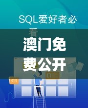 澳門免費公開資料大全,全方位展開數據規劃_趣味版XPP13.71