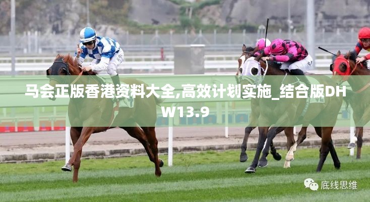 馬會正版香港資料大全,高效計劃實施_結合版DHW13.9