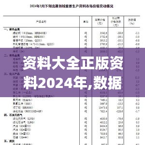 資料大全正版資料2024年,數據解釋說明規劃_SE版CBE13.41