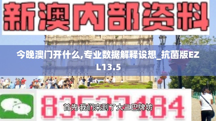 今晚澳門開什么,專業數據解釋設想_抗菌版EZL13.5