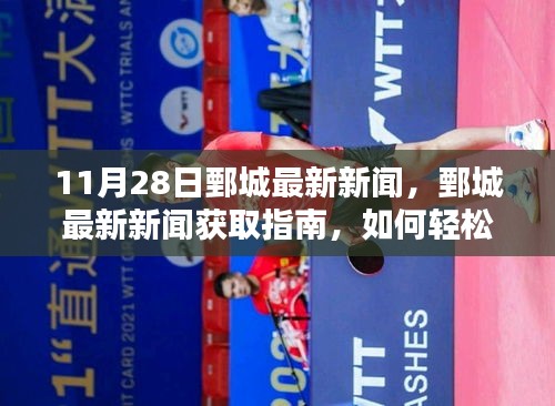 11月28日鄄城最新新聞及獲取指南,輕松掌握新聞資訊的步驟