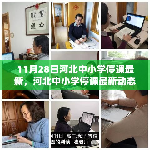 河北中小學停課最新動態,11月28日的深刻印記