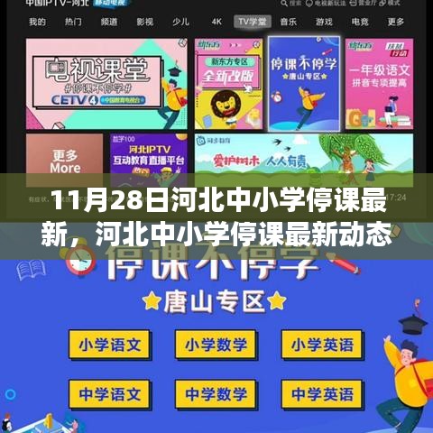 河北中小學停課最新動態,11月28日的深刻印記