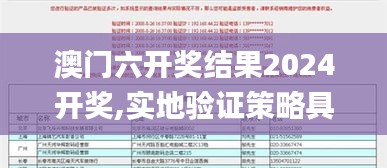 澳門六開獎結果2024開獎,實地驗證策略具體_理想版MKJ13.80