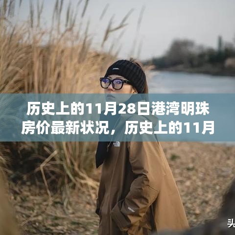 歷史上的11月28日港灣明珠房價動態,最新房價信息及小紅書熱探秘