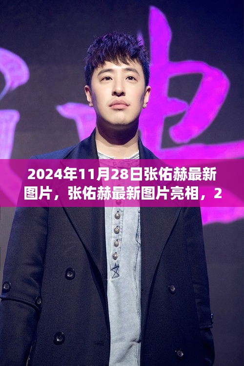 張佑赫最新圖片亮相,全面解讀與競品分析(2024年11月28日)
