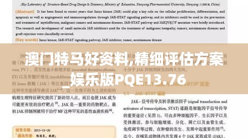 澳門(mén)特馬好資料,精細(xì)評(píng)估方案_娛樂(lè)版PQE13.76