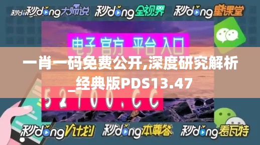 一肖一碼免費公開,深度研究解析_經典版PDS13.47