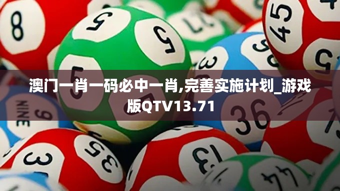 澳門一肖一碼必中一肖,完善實施計劃_游戲版QTV13.71