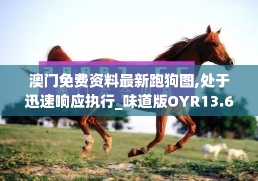 澳門免費資料最新跑狗圖,處于迅速響應執行_味道版OYR13.64