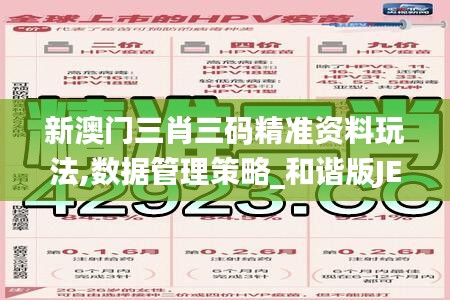 新澳門三肖三碼精準資料玩法,數據管理策略_和諧版JEQ13.74