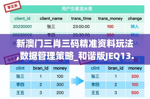 新澳門三肖三碼精準(zhǔn)資料玩法,數(shù)據(jù)管理策略_和諧版JEQ13.74