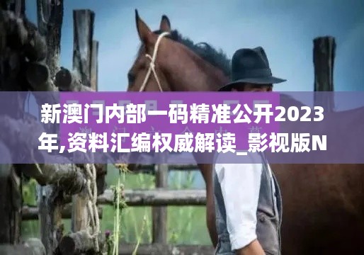 新澳門內部一碼精準公開2023年,資料匯編權威解讀_影視版NFZ13.28