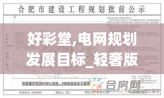 好彩堂,電網規劃發展目標_輕奢版DLK13.16