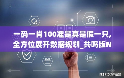 一碼一肖100準是真是假一只,全方位展開數據規劃_共鳴版NNE13.77