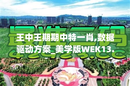王中王期期中特一肖,數據驅動方案_美學版WEK13.61