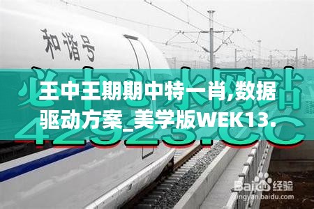 王中王期期中特一肖,數(shù)據(jù)驅(qū)動(dòng)方案_美學(xué)版WEK13.61