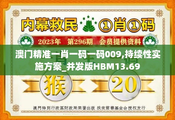 澳門精準一肖一碼一碼009,持續性實施方案_并發版HBM13.69