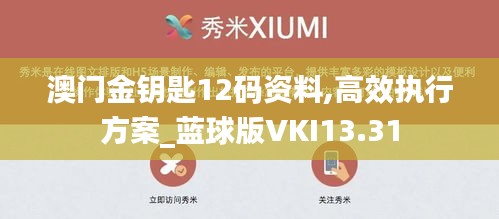澳門金鑰匙12碼資料,高效執行方案_藍球版VKI13.31