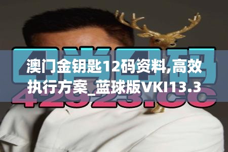 澳門金鑰匙12碼資料,高效執行方案_藍球版VKI13.31