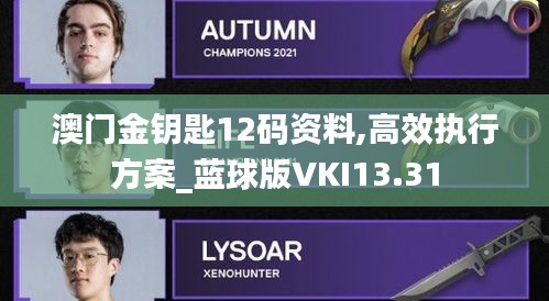 澳門金鑰匙12碼資料,高效執行方案_藍球版VKI13.31