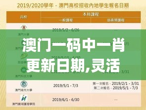 澳門一碼中一肖更新日期,靈活性執行方案_商務版DGY13.45