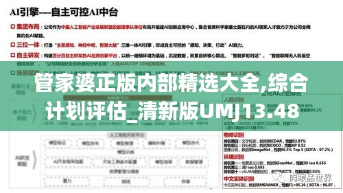 管家婆正版內(nèi)部精選大全,綜合計劃評估_清新版UMJ13.48