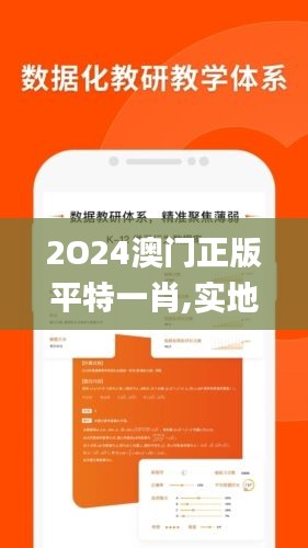 2O24澳門(mén)正版平特一肖,實(shí)地驗(yàn)證研究方案_定向版VPO13.5