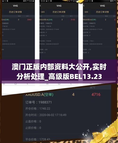 澳門正版內(nèi)部資料大公開,實時分析處理_高級版BEL13.23