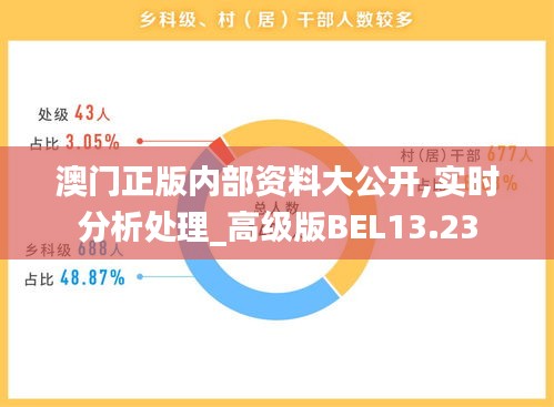 澳門正版內(nèi)部資料大公開,實時分析處理_高級版BEL13.23