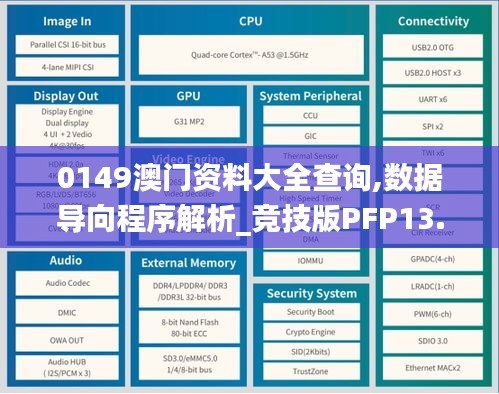 0149澳門資料大全查詢,數據導向程序解析_競技版PFP13.13
