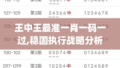 王中王最準一肖一碼一過,穩(wěn)固執(zhí)行戰(zhàn)略分析_并行版XBT13.40